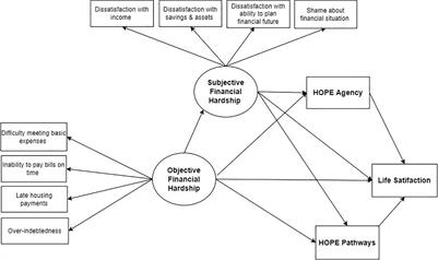 Financial Hardship, Hope, and Life Satisfaction Among Un/Underemployed Individuals With Psychiatric Diagnoses: A Mediation Analysis